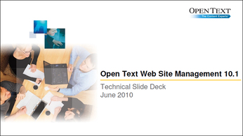 Web Site Management 10.1 Technik